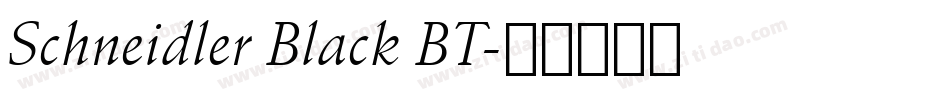 Schneidler Black BT字体转换